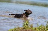 STAFFIE 161